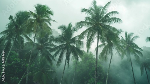 Coconut trees bend and sway during a storm.