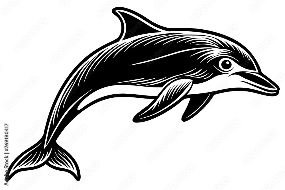 dolphin silhouette vector illustration dolphin silhouette vector illustration