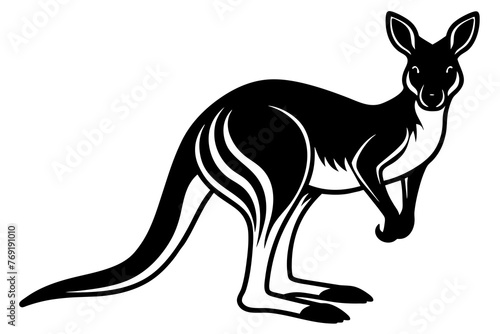 kangaroo silhouette vector illustration