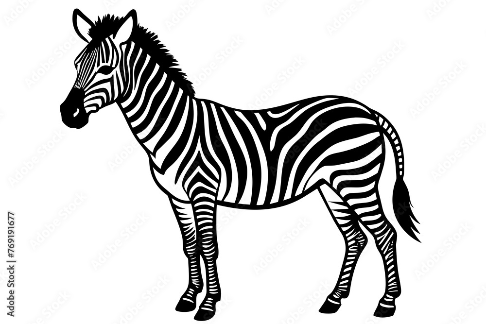 zebra silhouette vector illustration