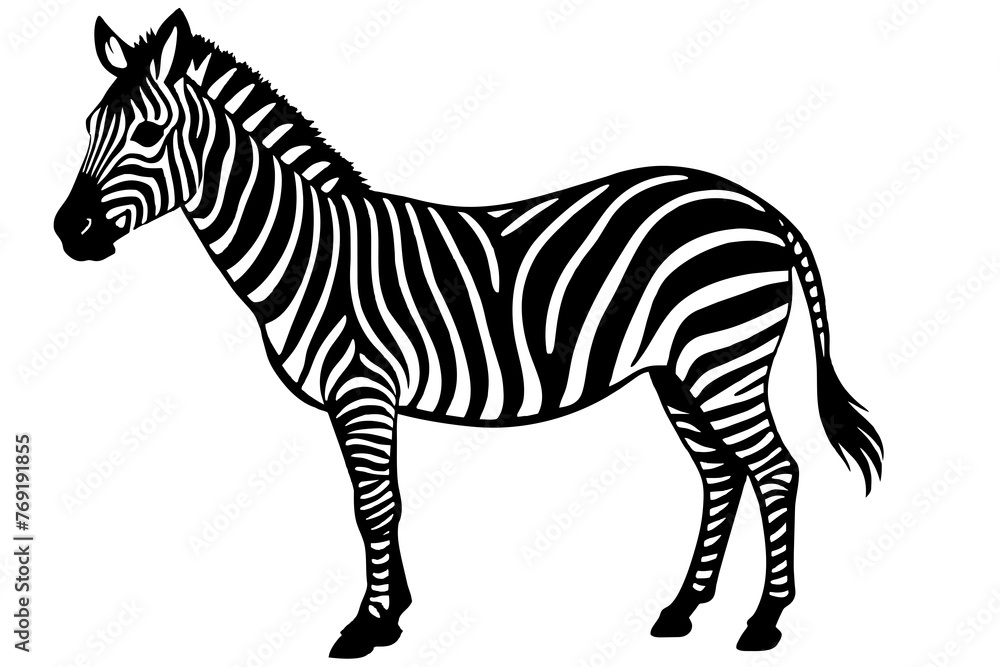 Fototapeta premium zebra silhouette vector illustration