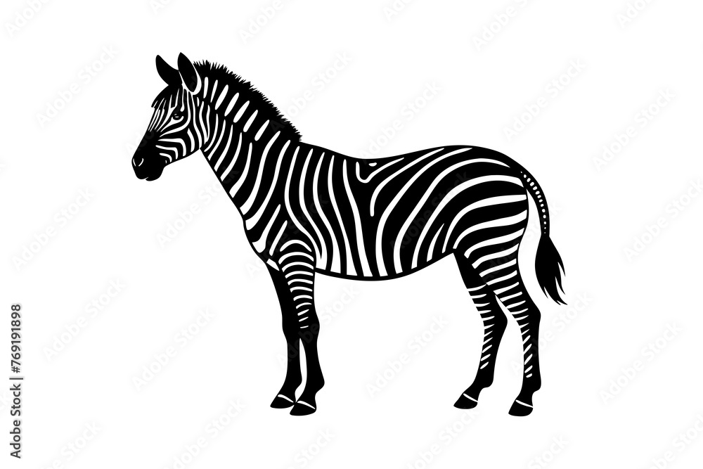 zebra silhouette vector illustration zebra silhouette vector illustration
