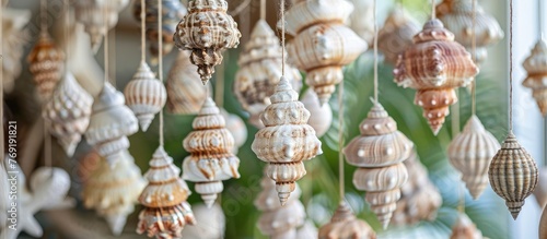 Shells for Hanging Ornament