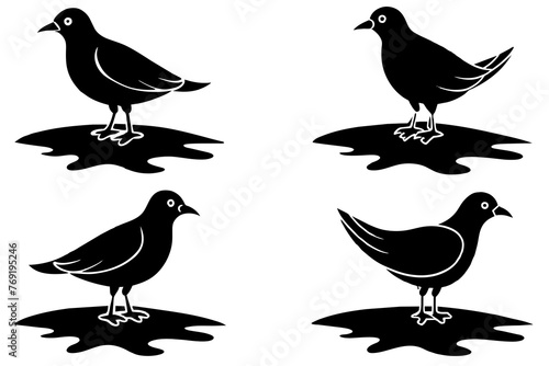 puddles bird silhouette vector illustration
