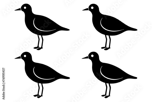 pebbles bird silhouette vector illustration 
