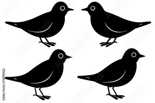 nibbles bird silhouette vector illustration