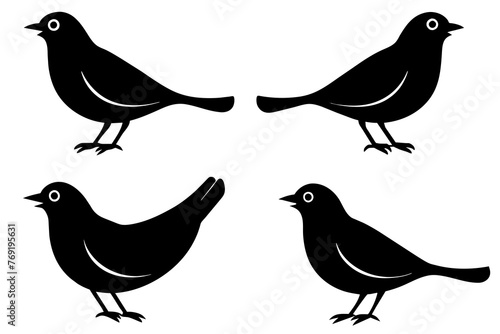 nibbles bird silhouette vector illustration