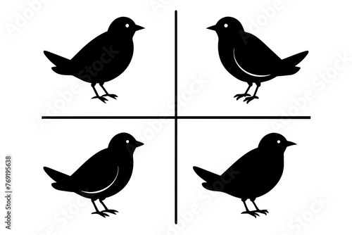 nibbles bird silhouette vector illustration