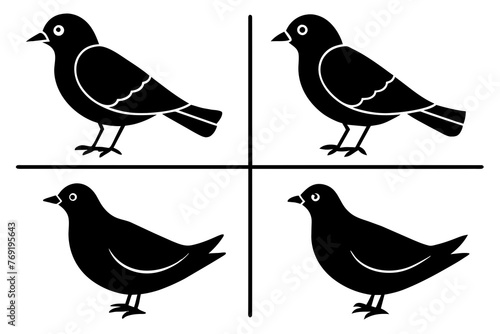 nibbles bird silhouette vector illustration