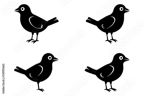 nibbles bird silhouette vector illustration