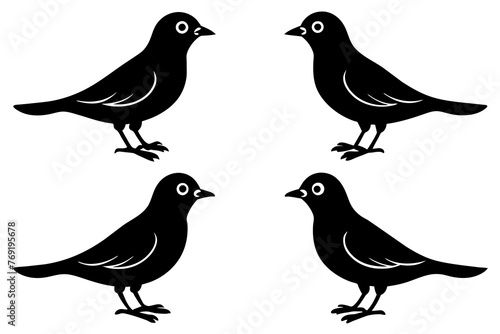 nibbles bird silhouette vector illustration