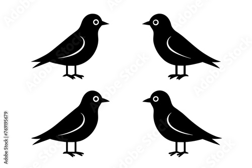 nibbles bird silhouette vector illustration