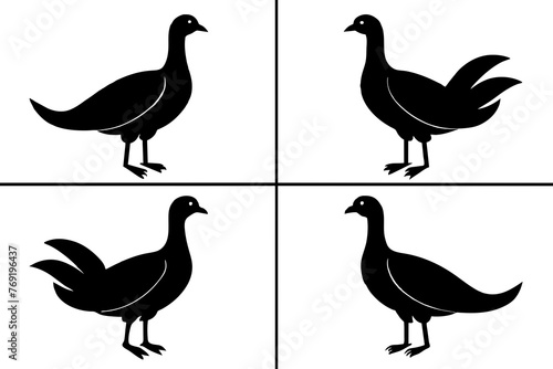 flossie bird silhouette vector illustration photo