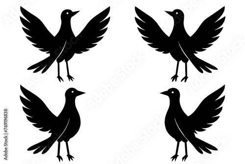 bella bird silhouette vector illustration