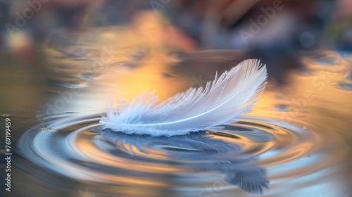 Image of feather floats on water.