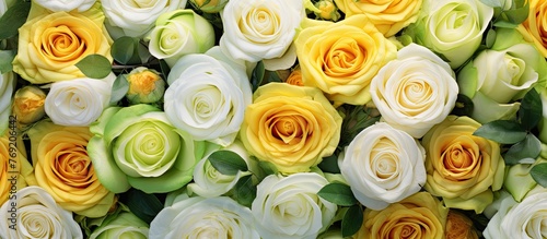 A closeup of a beautiful bouquet featuring a mix of yellow and white hybrid tea roses, showcasing the intricate details of their petals and the elegance of flower arranging