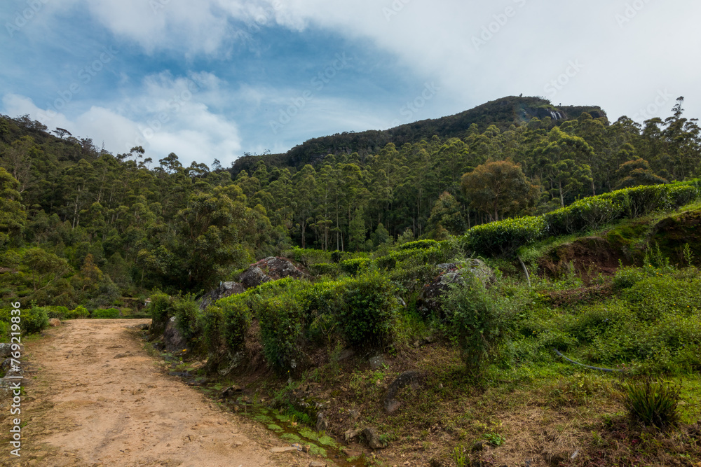 The breathtaking views of Sri Lankan nature