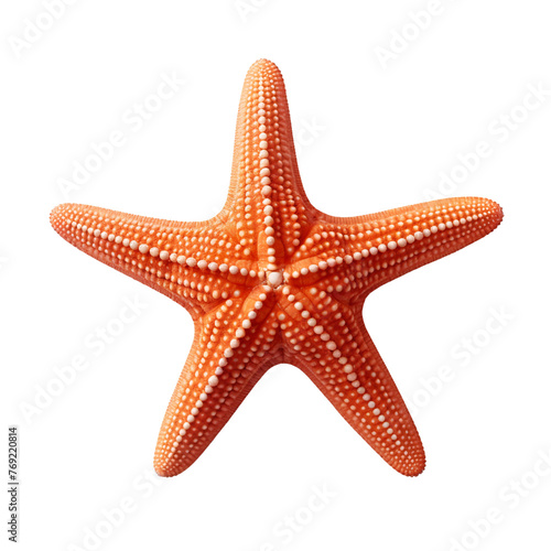 Red starfish isolated on transparent background, clipping path