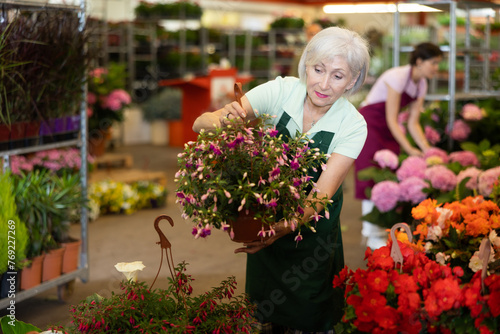 Experienced woman florist offers to buy indoor flowers in a pot at a flower market © JackF
