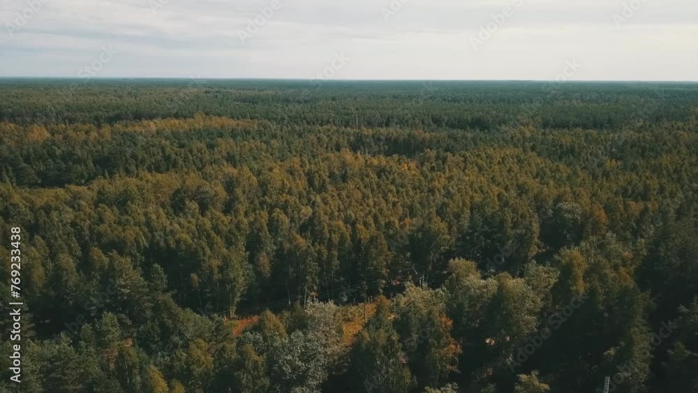 Aerial view of a cloudy day over a lush green forest Aerial view of a cloudy day over a lush green forest