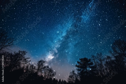 Milky Way among trees in a night forest