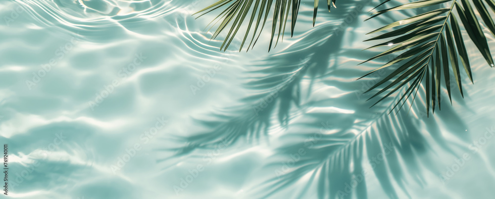 Summer vacation and travel concept. Shadow of a palm tree on water. Empty space for advertisement Summer vacation and travel concept. Shadow of a palm tree on water. Empty space for advertisement