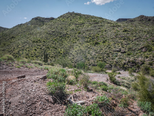 Wide view of green desert hills near Phoenix Arizona on sunny day