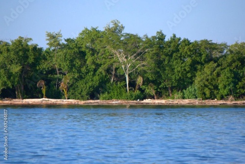 Paisajes de playa,costas,arena,palmeras,mucho sol y mucho relax.