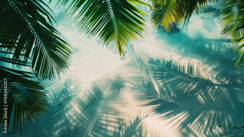 Fototapeta premium Tropical scene from above. palm shadows on a white sand beach.