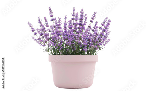 Lavender Garland Designs isolated on transparent Background