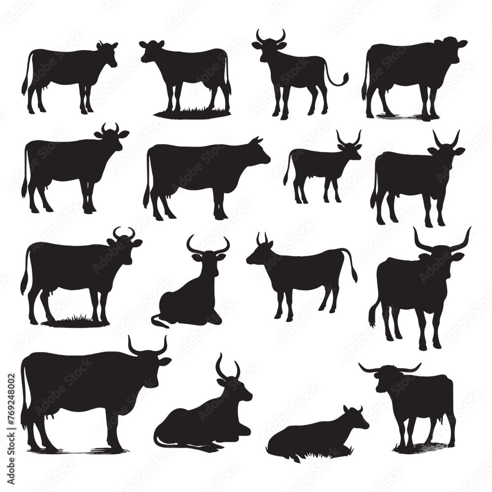 set of cows silhouettes on white