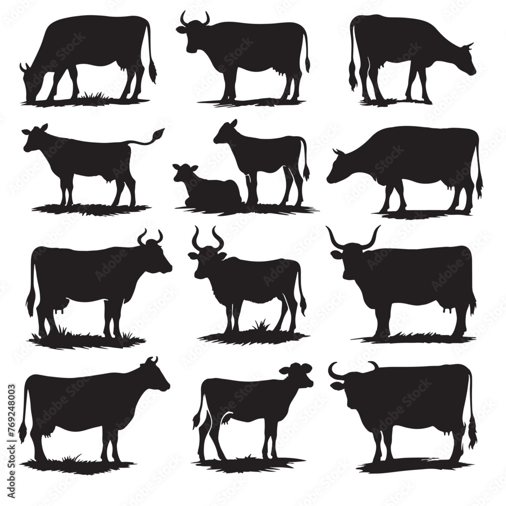 set of cows silhouettes on white