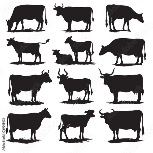 set of cows silhouettes on white