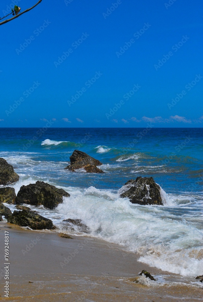 Paisajes de playa,costas,arena,palmeras,mucho sol y mucho relax. Paisajes de playa,costas,arena,palmeras,mucho sol y mucho relax.
