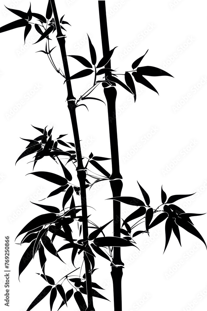 Shadow Silhouette of Bamboo Stalks and Leaves Shadow Silhouette of Bamboo Stalks and Leaves