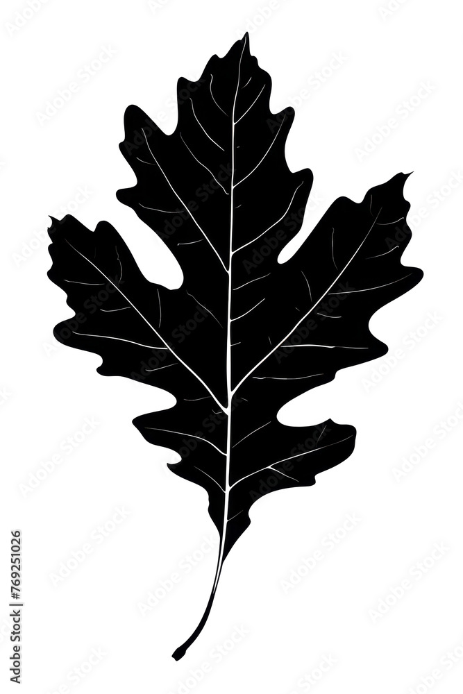 Fototapeta premium Shadow of a Detailed Oak Leaf Silhouette