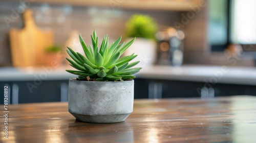 The natural beauty of a single succulent planted in a minimalist concrete pot adds a touch of greenery and simplicity to this modern . .