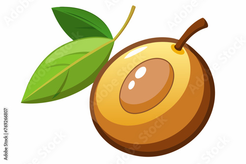 sapodilla food vector illustration