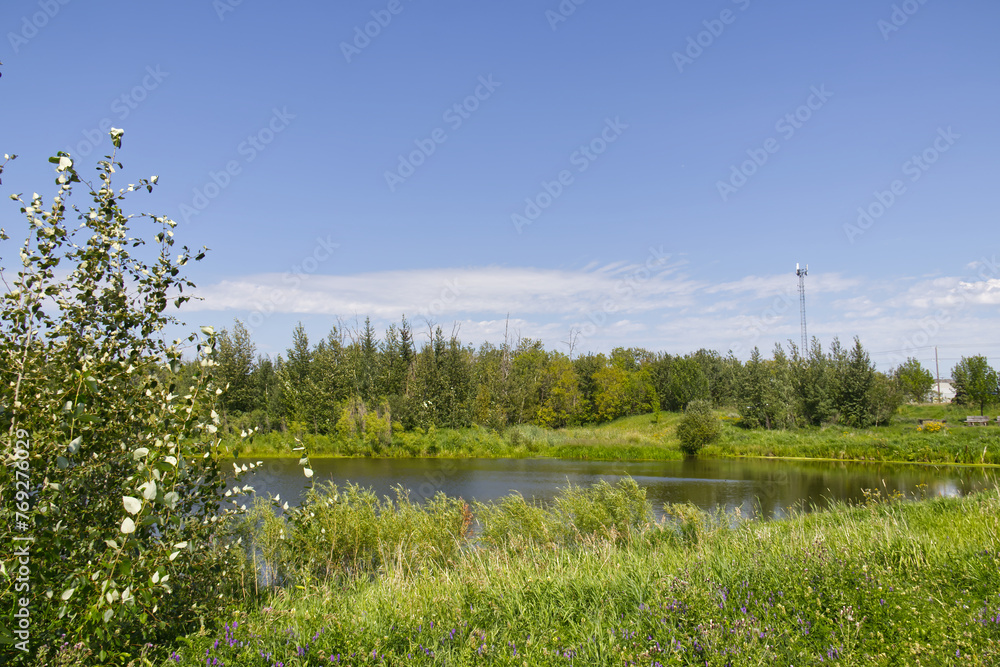 Obraz premium A Sunny Summer Day at Pylypow Wetlands