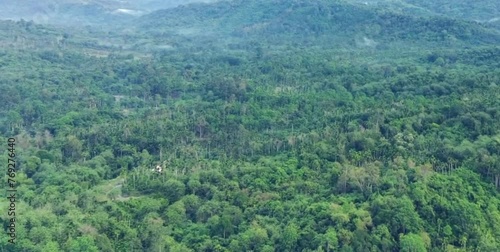 aerial video of dense green trees in a vast forest far from residential areas