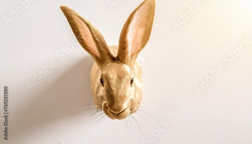 easter rabbit with simple white background top view created with technology