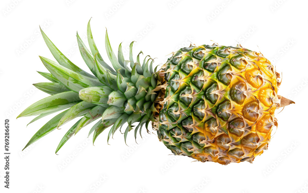 Ripe Whole Pineapple isolated on transparent Background Ripe Whole Pineapple isolated on transparent Background