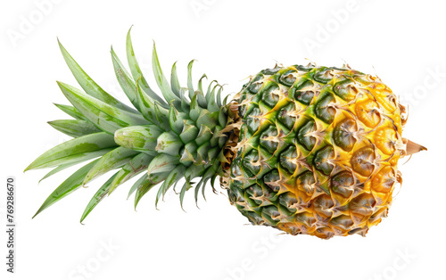 Ripe Whole Pineapple isolated on transparent Background