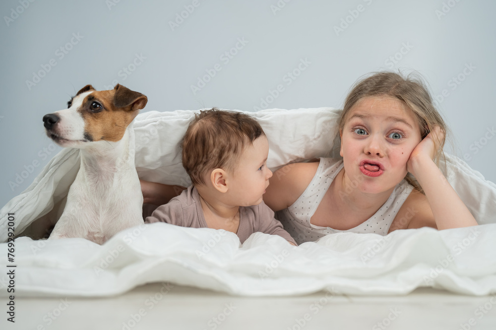A little girl and her five-month-old brother and Jack Russell Terrier dog lie wrapped in a blanket. 