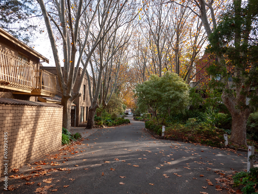 A tranquil residential street lined with bare trees, adorned with fallen autumn leaves, and flanked by charming townhouses, quiet neighborhood in fall in inner suburbs. North Melbourne VIC Australia