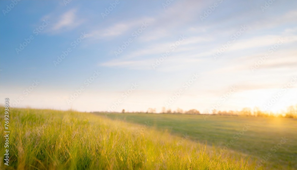 sunny spring meadow blur background blue sky to green grass gradient