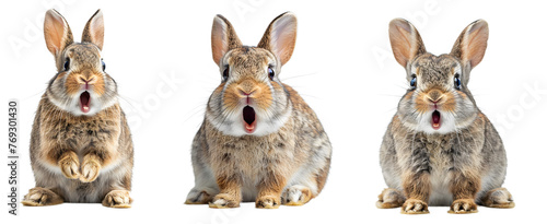 surprised rabbit isolated on a transparent PNG background, white background , Generative Ai