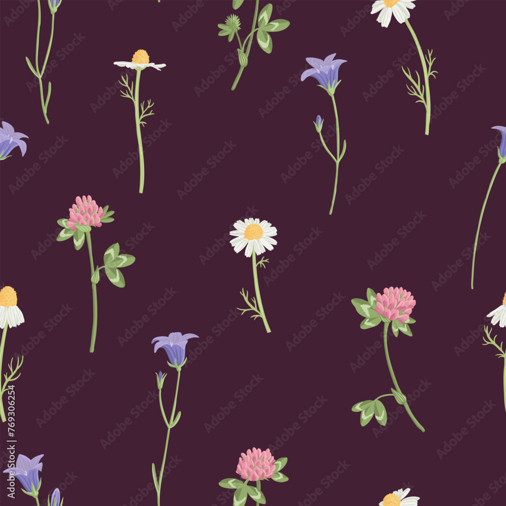 seamless pattern with field flowers, vector drawing wild flowering plants at dark purple background, floral cover design, hand drawn botanical illustration