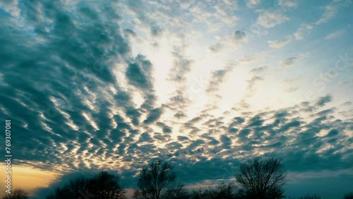 altocumulus clouds with near field of view trees provide ultimate road trip dreaming photo