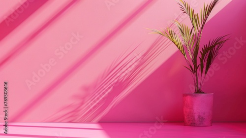 Bold hot pink background with minimalist aesthetic, making a statement and drawing attention to the subject.